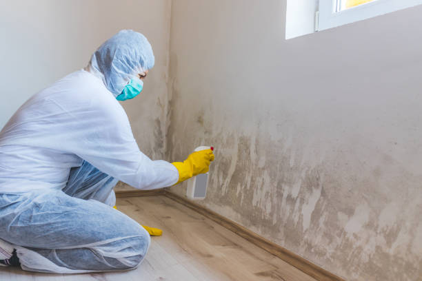 Best Industrial Mold Remediation  in Camden, AL