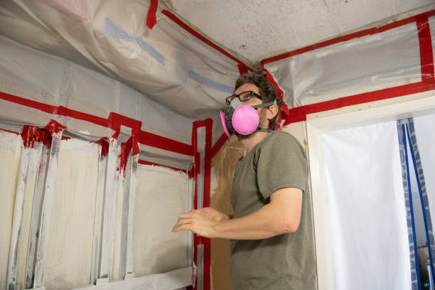Best Crawl Space Mold Remediation  in Camden, AL