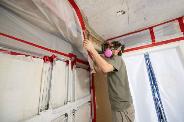 Best Commercial Mold Inspection  in Camden, AL