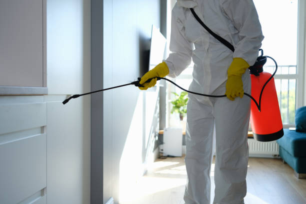 Best Biohazard Mold Removal  in Camden, AL