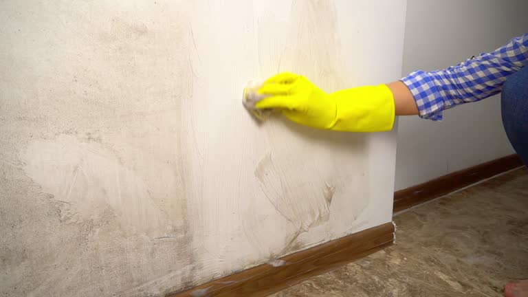 Best Mold Remediation for Healthcare Facilities  in Camden, AL