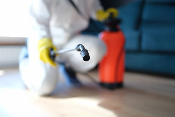  Camden, AL Mold Removal Pros
